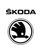 Descubr las piezas de Racingline Performance para Skoda